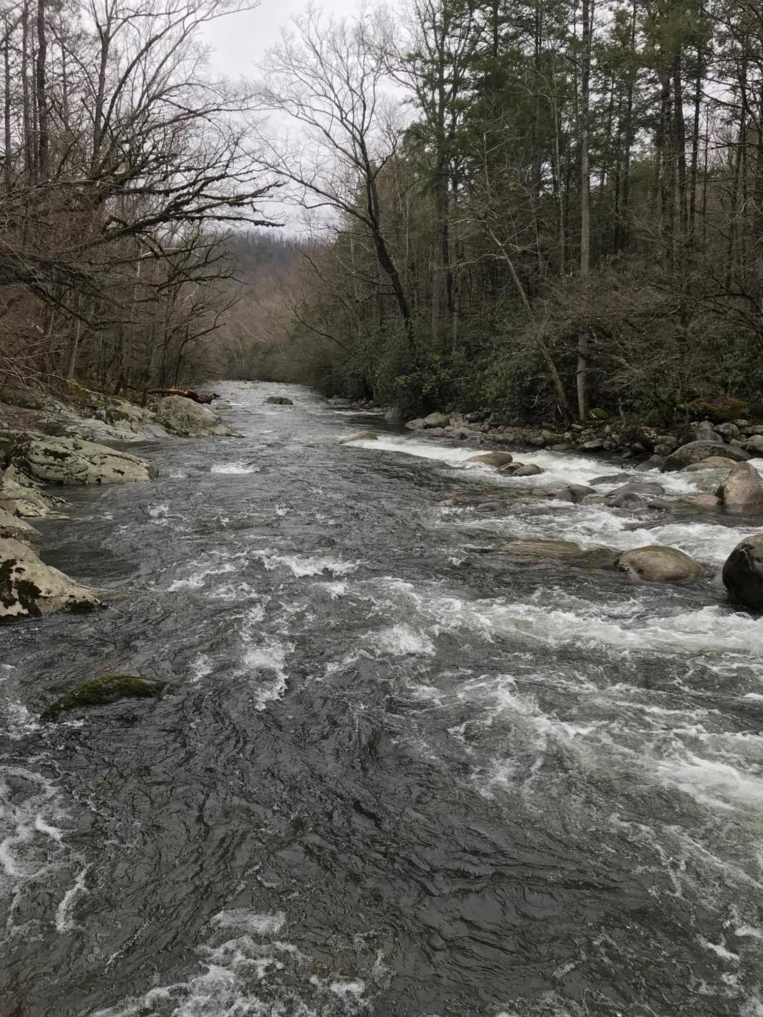Bear Necessities, Luxury 5Bd Mtn Views, Hot Tub, Many Bear Sightings Villa Gatlinburg Exterior photo
